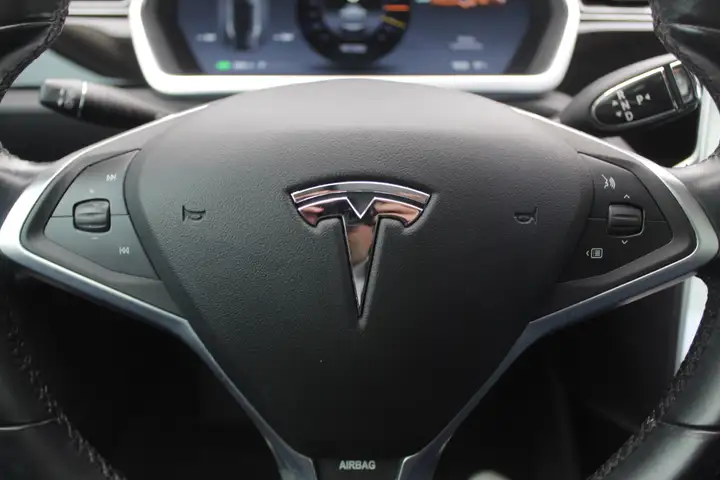 Tesla Model S 85 Signature Performance / Panoramadak / Camera /